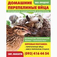 Домашние перепела суточные молодняк несушки