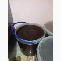 Продам гречишный мед высшего сорта цена 70гр за1кг