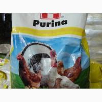 Комбикорм откормочный для бройлера и кур несушки Purina