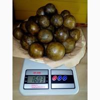 Продам прополис / пчелиный клей / уза