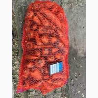 Продам морковь