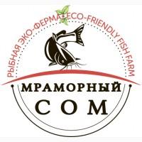 Продам мраморный (африканский) сом