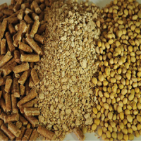 Соевый шрот Бразилия 445 СIF / Soybean meal