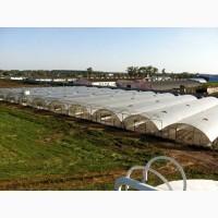 Оренда земельної ділянки 5 Га не далеко від м. Бровари, Киевская обл