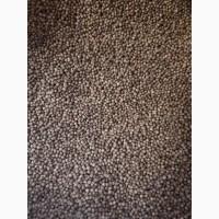 Ядро семечки семена Тыквы Кабака, Ядро насіння Гарбуза