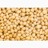 Продам сою без ГМО на експорт / GMO-free soy for export from Ukraine