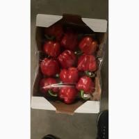 Продам перець