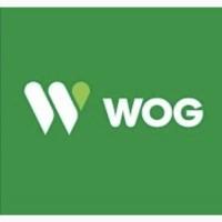 Талони WOG/Бензин А95/Дизель/ Безготівковий розрахунок