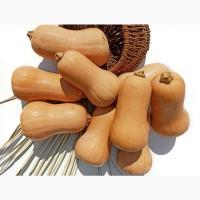 Продаємо Перец зелений 2с