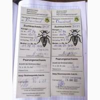 Продам бджолопакети