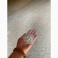 Продам люпин