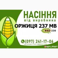 Гібрид кукурудзи Оржиця 237 МВ (ФАО 230). Насіння від виробника