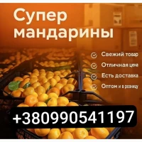 Продам мадарин оптом