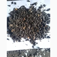 Продам 40тн соняшника з 35 вологою