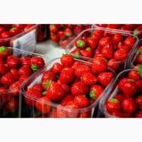 Продаєм свіжу полуницю