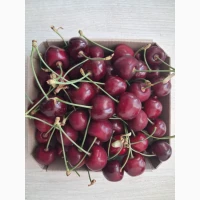 Продам черешню