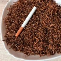 Продам тютюн міцний Берлі.Дюбек., Мальборо, Махорки.Махорку гарної якості