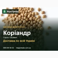 Пр0двм нвсіння к0рівндру - 0ксвмит