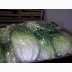 Продам: Салату, М яту, Рукулу, Перець червоний жовтий, Салєру, Вмноград, Петрушку