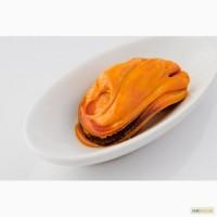Мясо черноморской мидии. Черноморская мидия