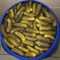 Домашние соленые огурцы