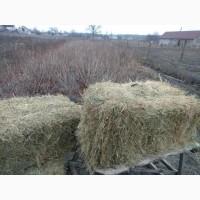 Продам СІНО лугове в тюках 2019 р