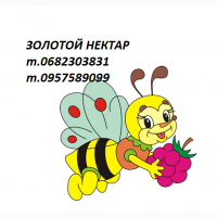 Оптом покупаем мед от 500 кг