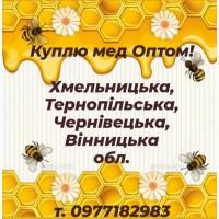 Куплю мед Оптом, від 300кг