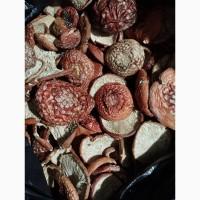 Червоні мухомори, сушені при температурі 35 градусів