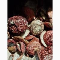 Червоні мухомори, сушені при температурі 35 градусів