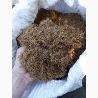 Куплю Табак Махорку