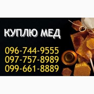 Закупаємо якісний мед оптом від 300 кг