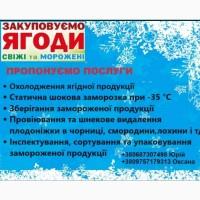Шукаємо інвестора або бізнес-партнера
