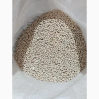 Куплю фасоль