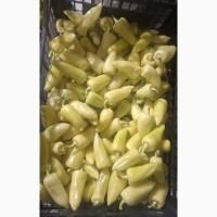 Продам перець сорту Білозірка