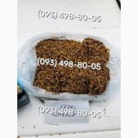 Відбірний тютюн без пилу та сміття Давідофф, Кемел, Парламент, Дюбек, Руно, Гавана