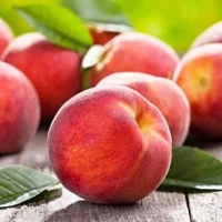 Саджанці персика Редхевен