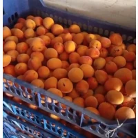 Продам абрикос переспілий на джем, варення