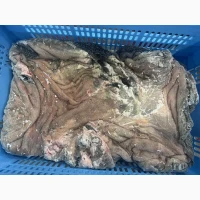 Рубець яловичий