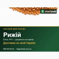 Продам насіння рижію - еліта, РН-1, доставка по Україні