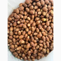 Пр0двм ж0лудь 6вгвт0 т0н 0пт