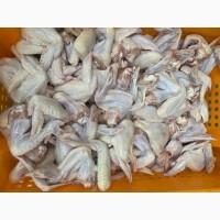 Продам куряче крило