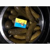 Продам огірок солений(квашений)грунтовий