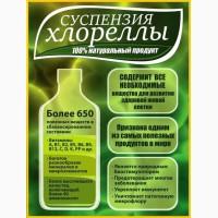 Хлорелла живая (Chlorella-Vulgaris)