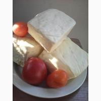 Продам брынзу