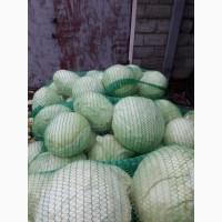 Продам капусту, отличного качества