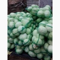Продам капусту, отличного качества
