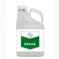 Фунгіциди виробництва «Байєр АГ» (Bayer AG) (Німеччина)