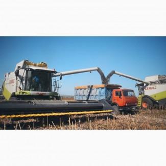 Услуги по уборке урожая комбайнами подсолнечника сои кукурузы Хмельницкий Сумы Украина