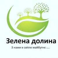 Продаю саженцы роз оптомЛЕТОМ -Осенью- Весной кусты роз большой вибор